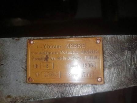 le zebre 1065